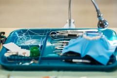 kurs_stomatologiczny_art_of_composite_11